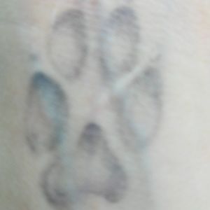 Meet your Posher, Randi